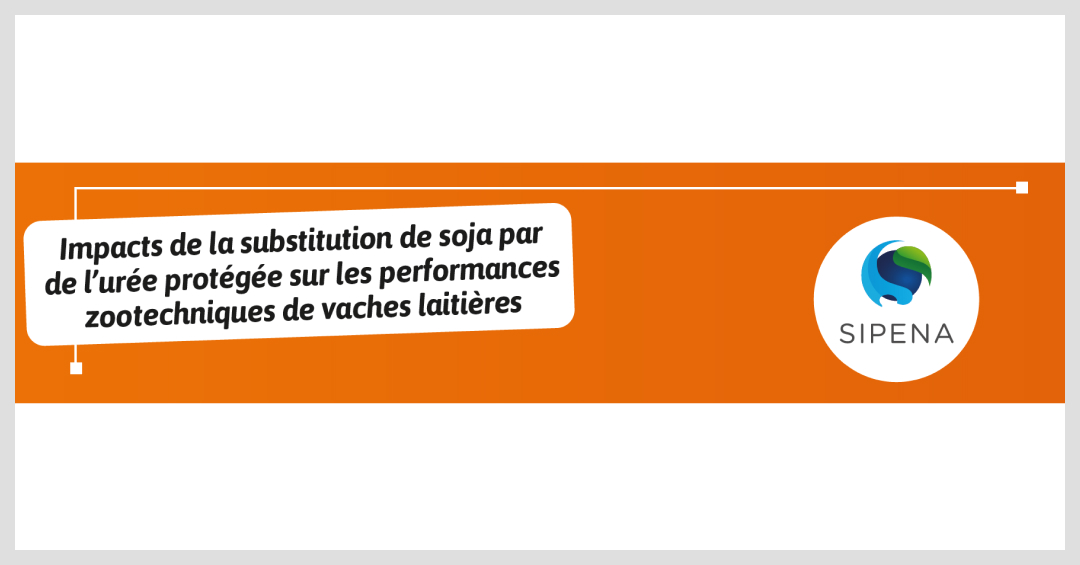 Impacts de la substitution de soja par de l’urée protégée sur les performances zootechniques de vaches laitières